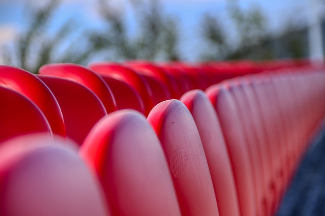 他們引入的 他們引入的