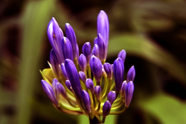 依靠团队协 依靠团队协