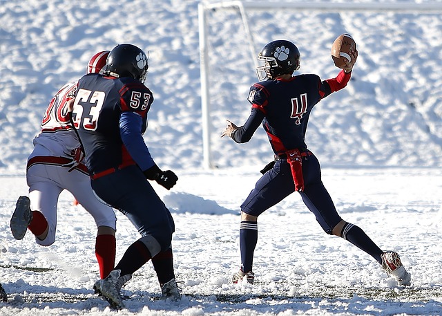 这次的排名 这次的排名