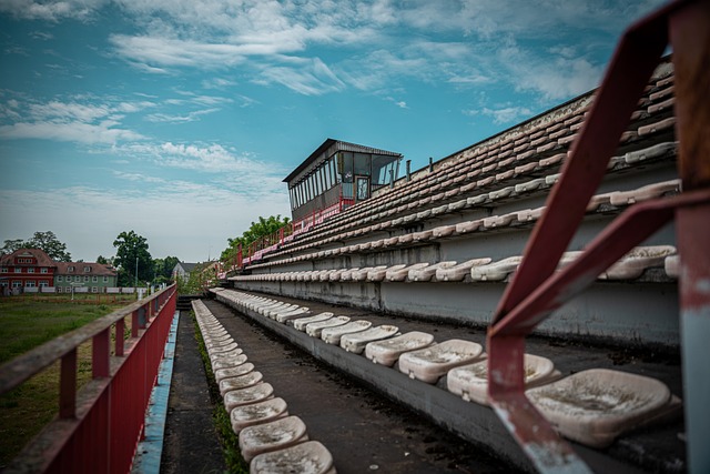 金洋洋转会 金洋洋转会