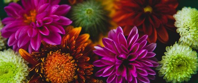 國足新歸化！來自24歲中葡混血邊衛伍小海！現效力MLS有意為國足效力！.