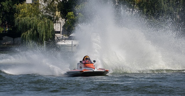除了全民健 除了全民健