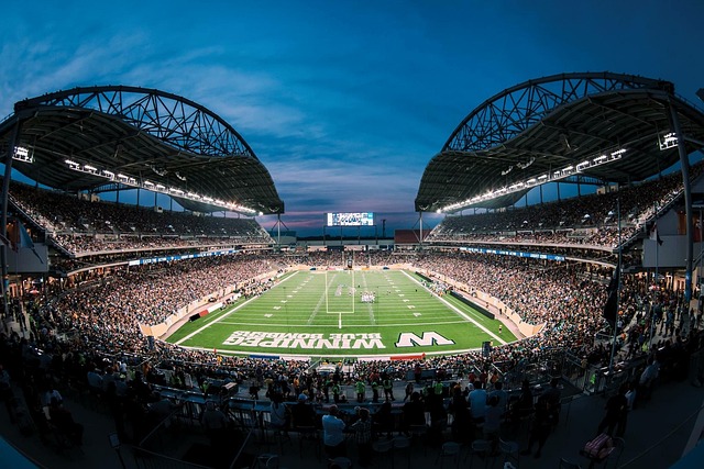 个鲜明的对 个鲜明的对